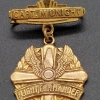 1942 Flight Commander Flying Cross Brass Badge